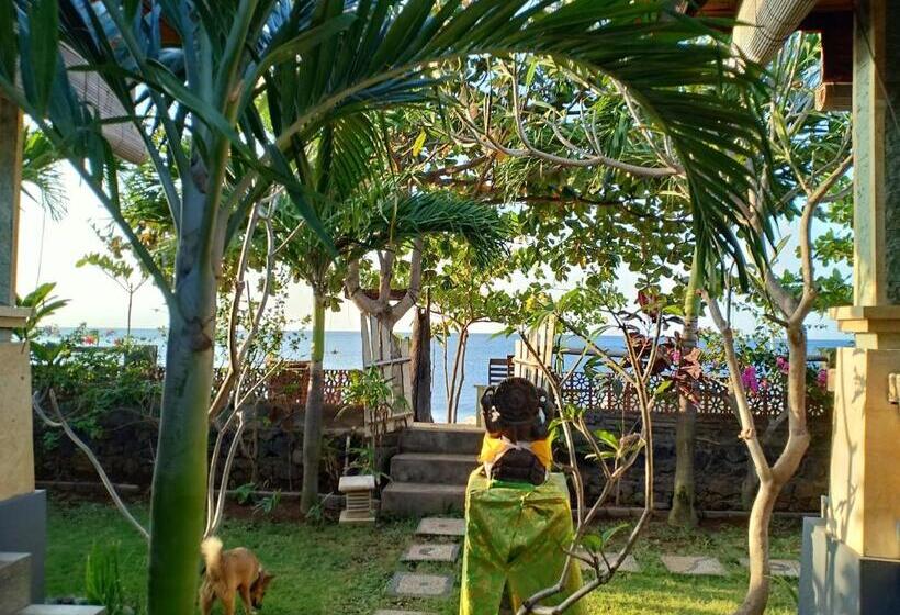 בית מלון כפרי Solaluna Beach Homestay