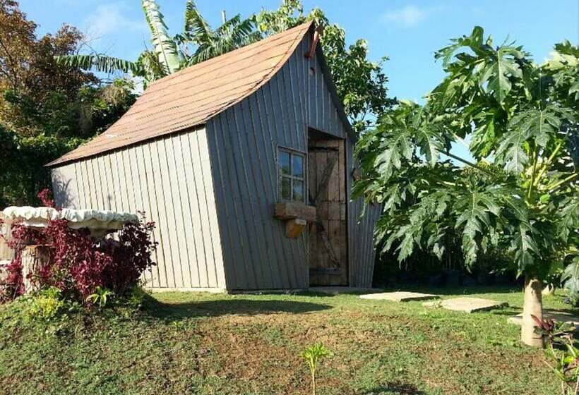 בית מלון כפרי Titus Poison Garden