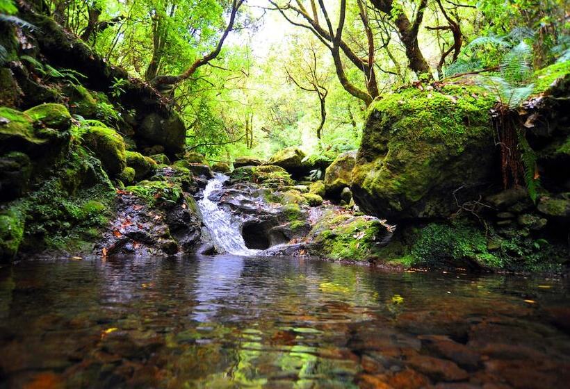 膳宿费 Casa Do Ribeiro Frio