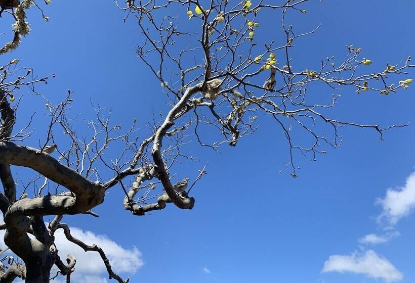 膳宿费 Casa Do Ribeiro Frio