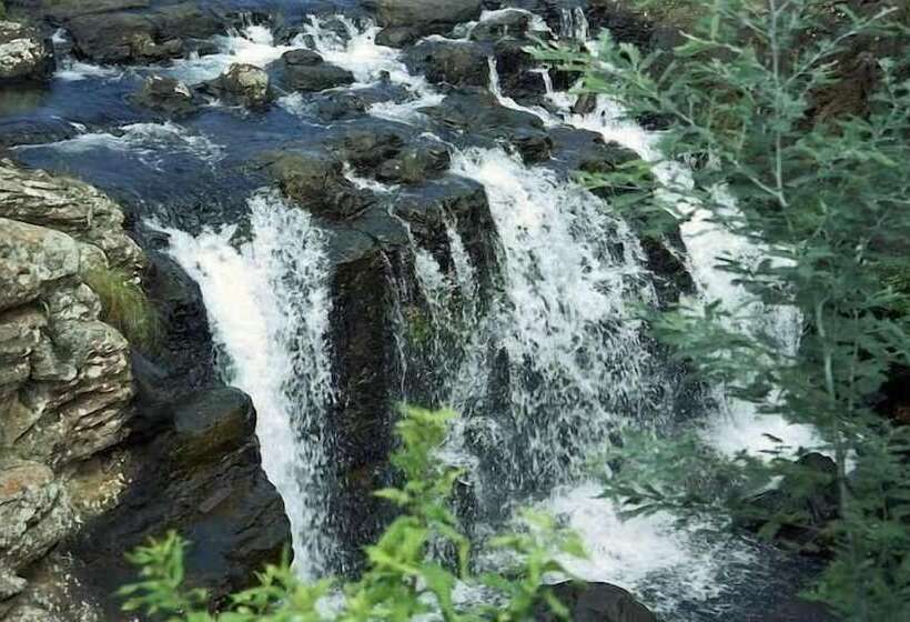 بنسيون D & H Guesthouse