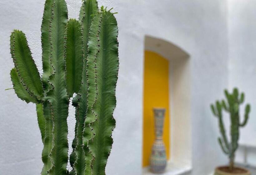 پانسیون Dar El Kif La Marsa