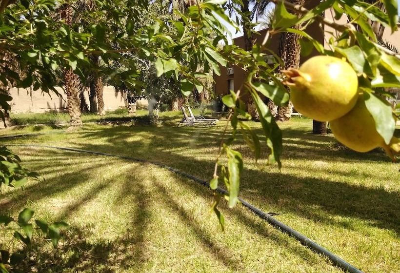 ペンション Maison D Hôte Ighrem