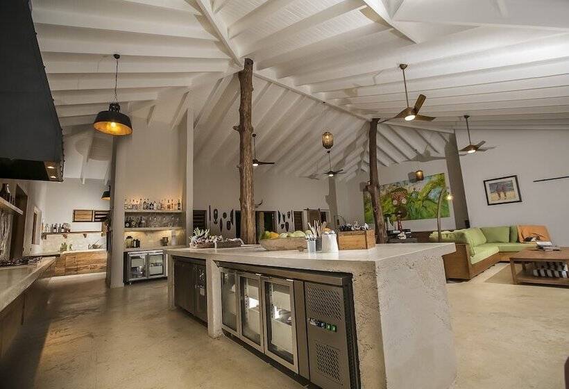 פנסיון Nakatumble