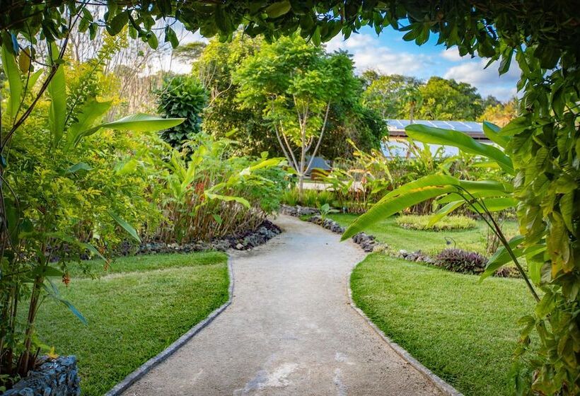 پانسیون Nakatumble