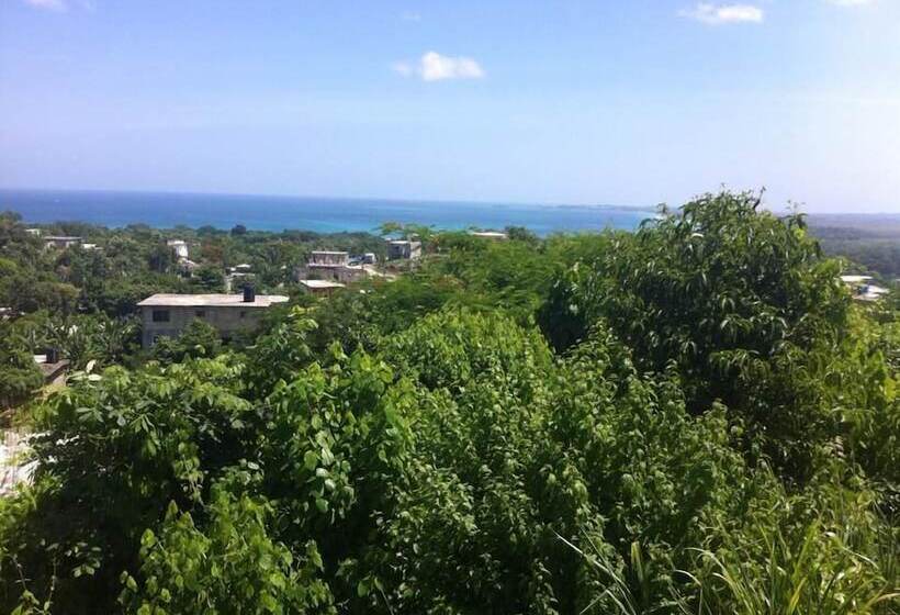 Solet S Paradise Negril