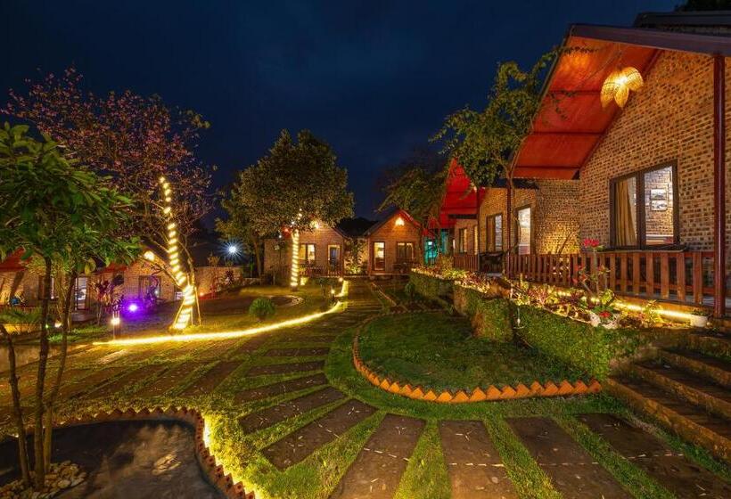 تختخواب و صبحانه Catba Spring Homestay