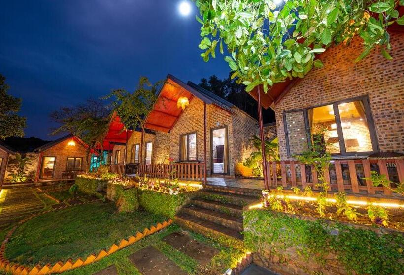 تختخواب و صبحانه Catba Spring Homestay