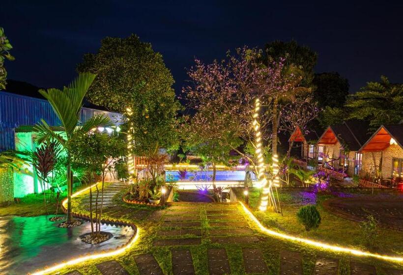 تختخواب و صبحانه Catba Spring Homestay