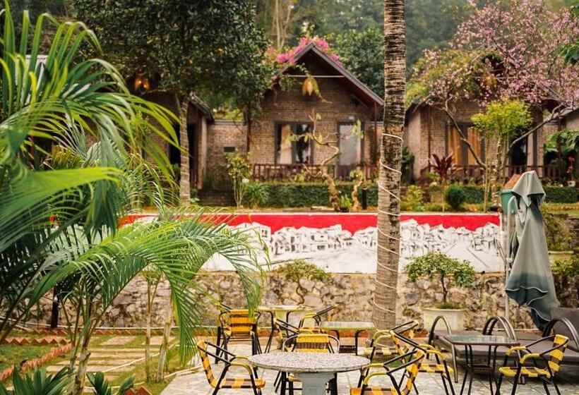 تختخواب و صبحانه Catba Spring Homestay