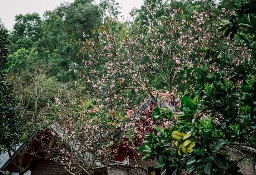 تختخواب و صبحانه Catba Spring Homestay