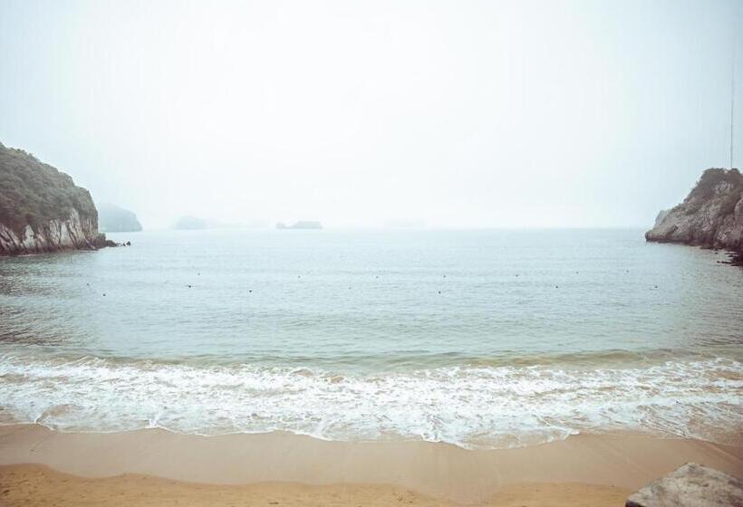 تختخواب و صبحانه Catba Spring Homestay