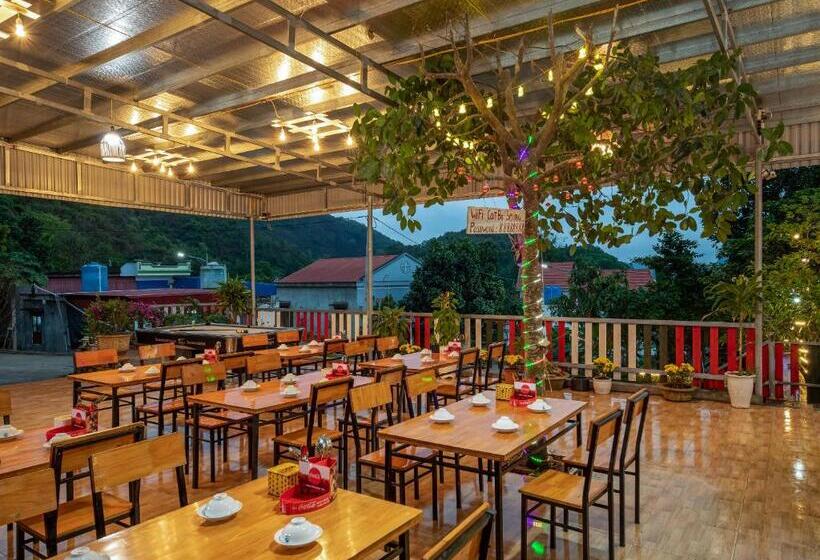 تختخواب و صبحانه Catba Spring Homestay