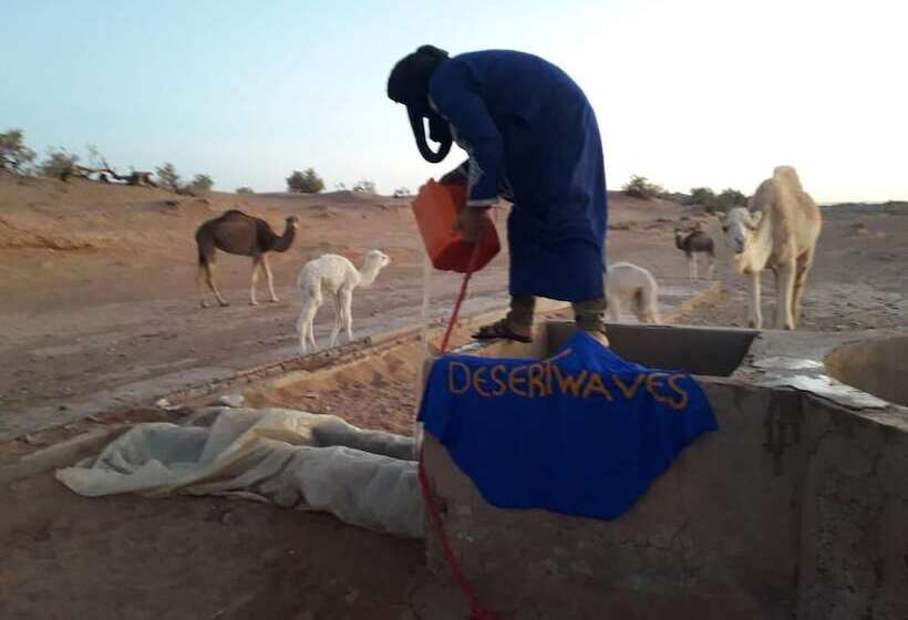 مسافرخانه Desert Waves