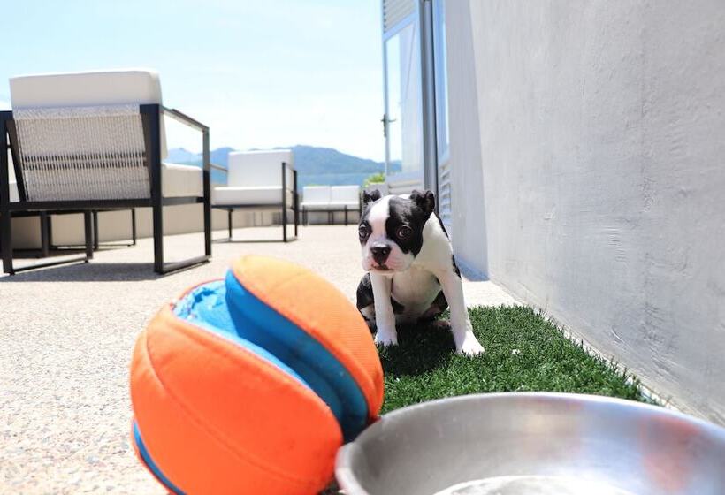 فندق Mio Vallarta Unique & Different  Adults Only