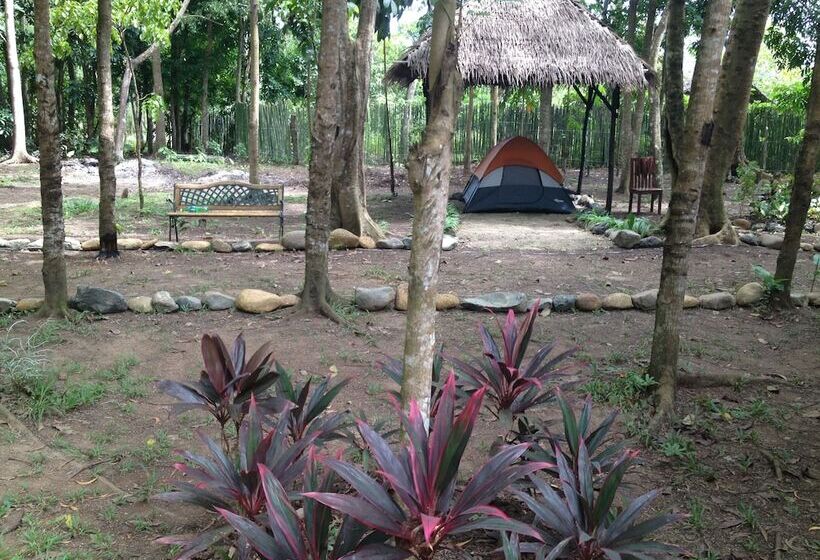 ホテル Tent And Breakfast At Irawan Park