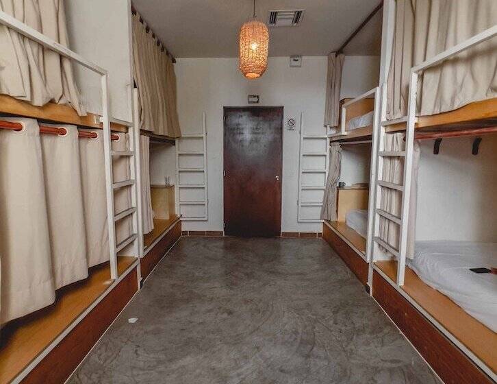 Oostel Smart Capsule Hostel   Tulum Pueblo