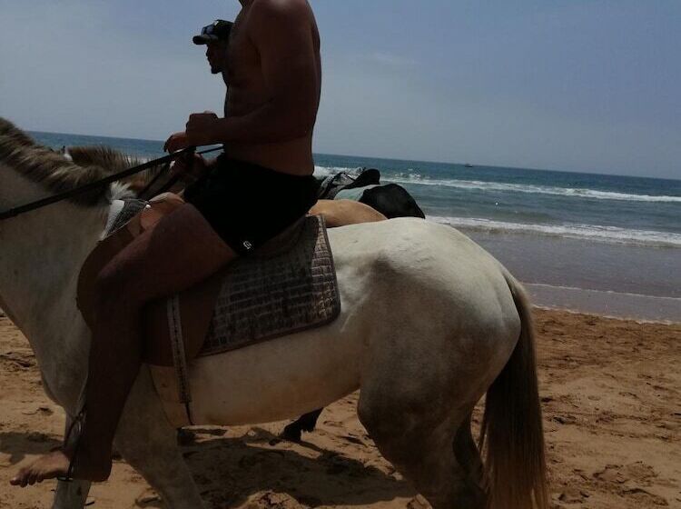 پانسیون Ab House