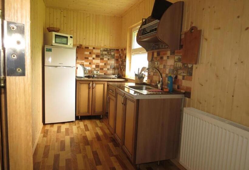 پانسیون Bilyy Kamin Guest House