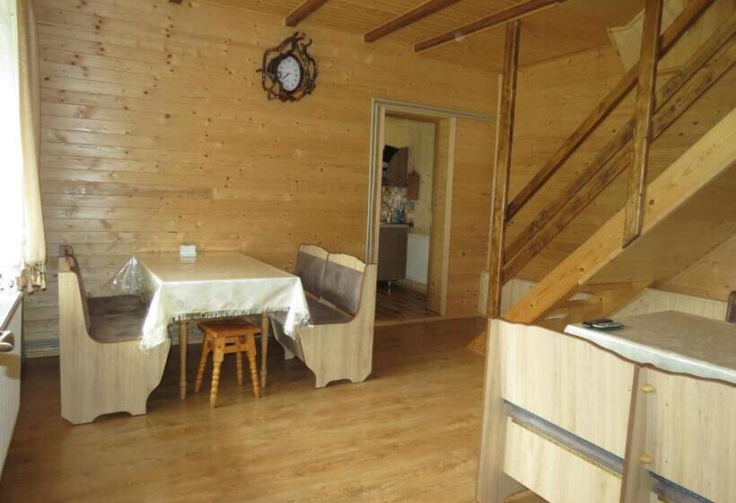 پانسیون Bilyy Kamin Guest House