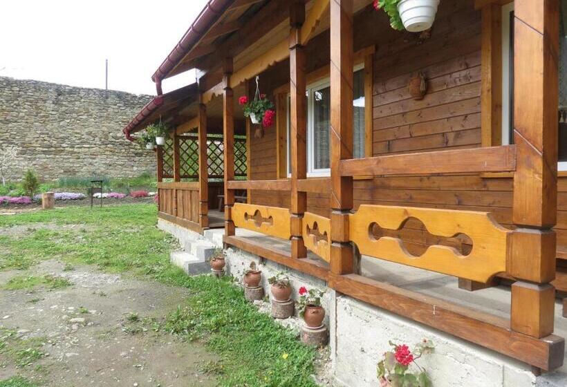 پانسیون Bilyy Kamin Guest House