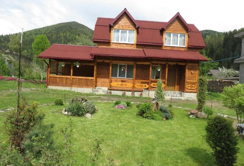 پانسیون Bilyy Kamin Guest House