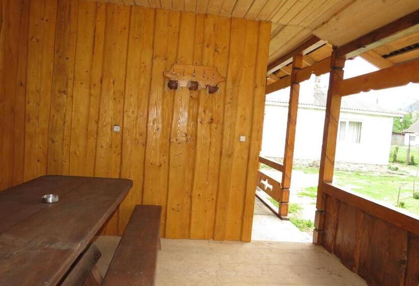 پانسیون Bilyy Kamin Guest House