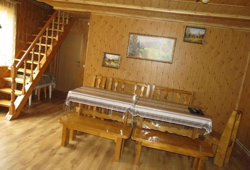 پانسیون Bilyy Kamin Guest House