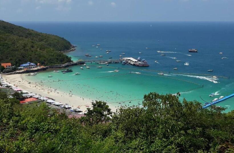 膳宿费 Green Mango Resort