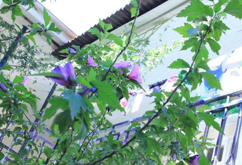 پانسیون Luka, Near Church