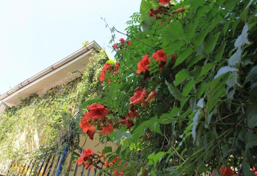 پانسیون Luka, Near Church