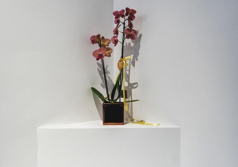 펜션 Impero Nafplio Hotel & Suites