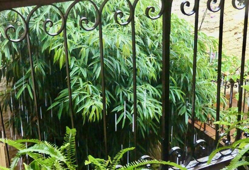 بنسيون Jamm La Paix