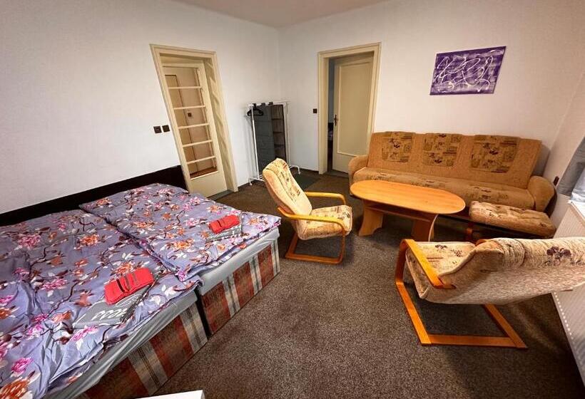 פנסיון Penzion Roko