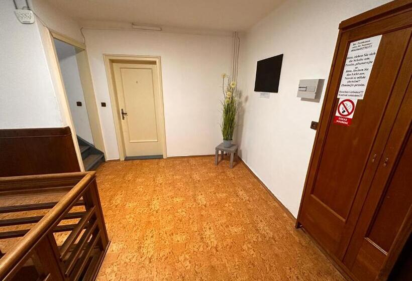 פנסיון Penzion Roko