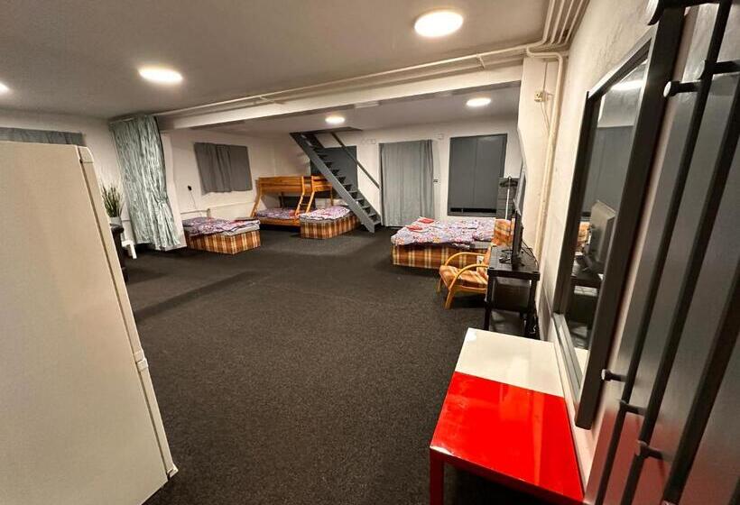 פנסיון Penzion Roko