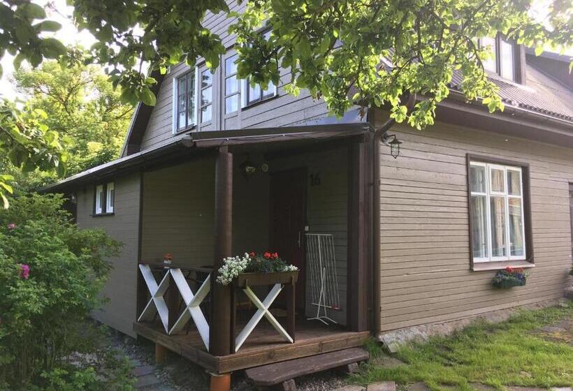 پانسیون Poilsiavietė Vita