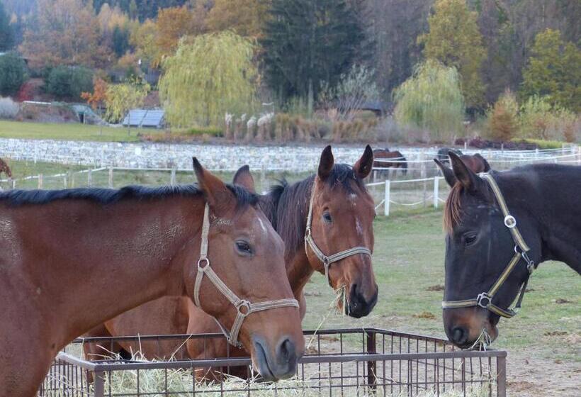 펜션 Restaurace A Penzion Bludoveček