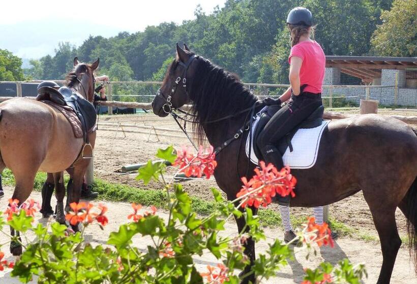 펜션 Restaurace A Penzion Bludoveček