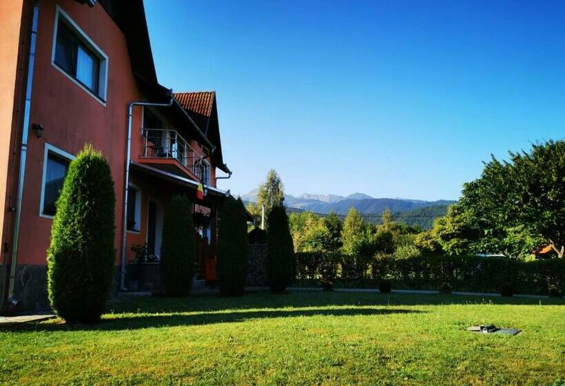 Pensiunea Colt De Rai