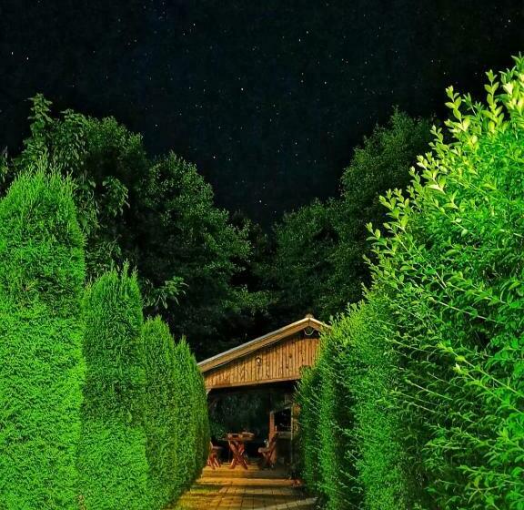 Pensiunea Colt De Rai