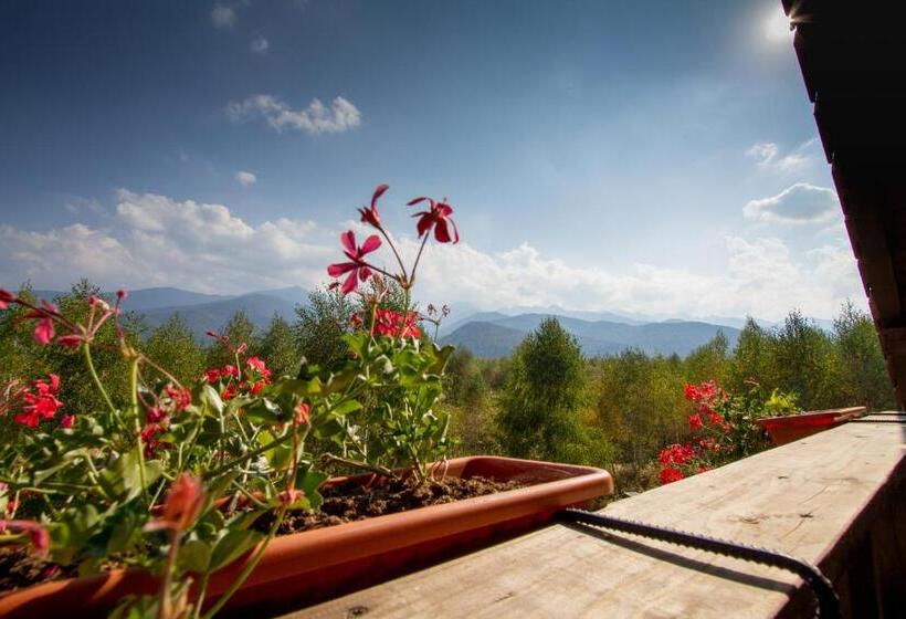 Pensiunea Royal Garden