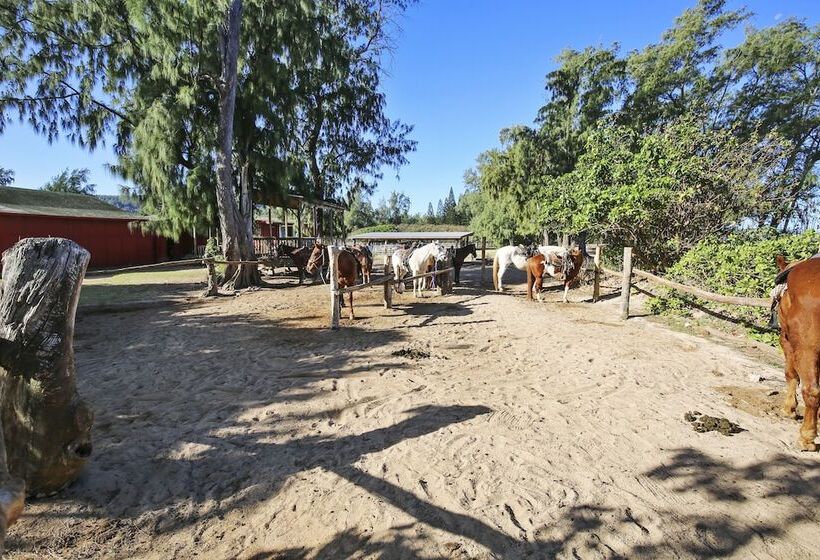 Turtle Bay Lanikainuc 90 Tvu 0572 1 Bedroom Condo By Redawning
