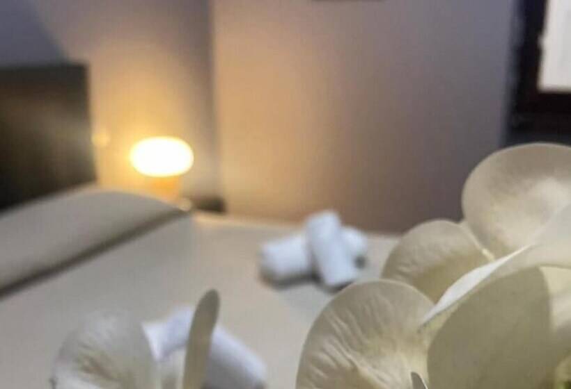 هاستل Palazzo Oliveto