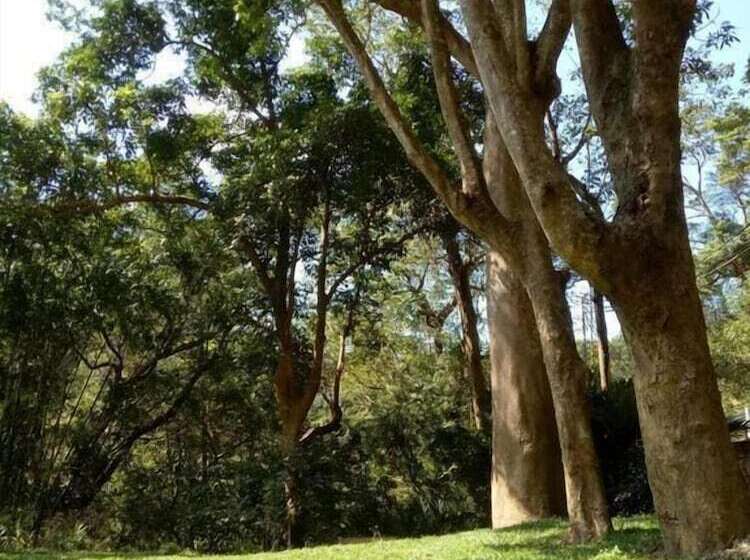 تختخواب و صبحانه Siang Tsao Yu Chong