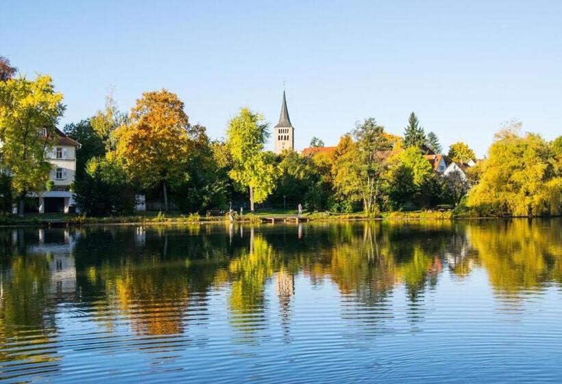 호텔 Holiday Inn Express   Sindelfingen, An Ihg