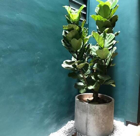 酒店 Kooning   Hostel