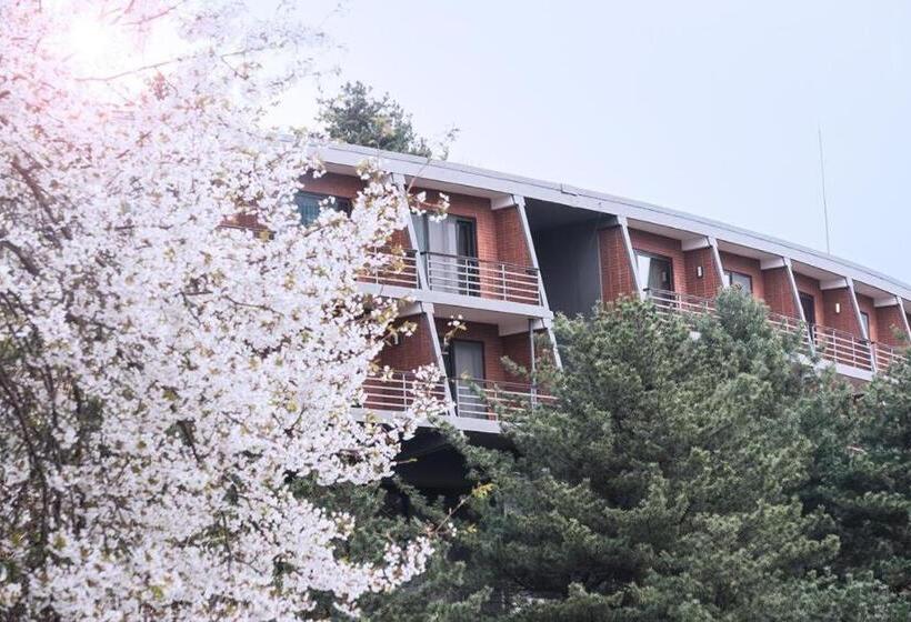 هتل Walkerhill Douglas House