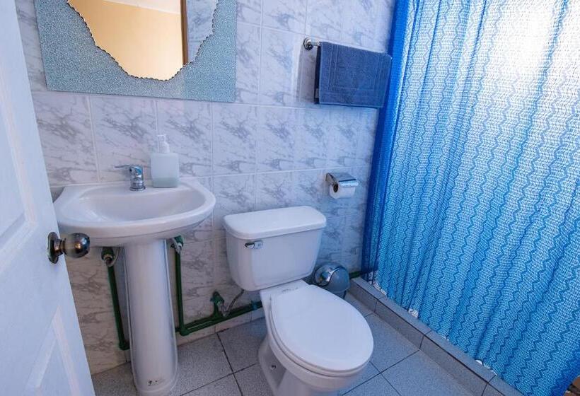 膳宿费 Hostal Beatriz Taltal