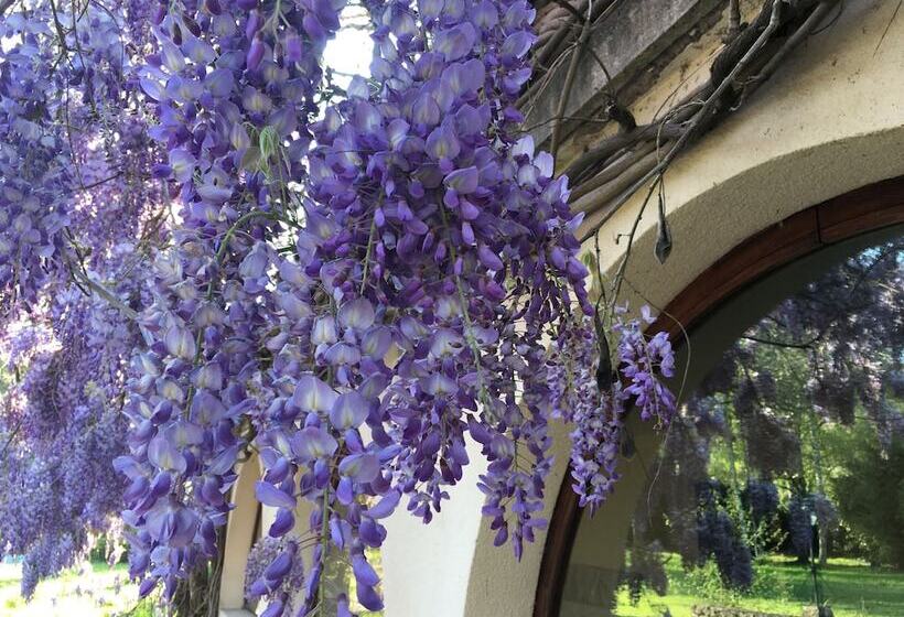 ベッドアンドブレックファースト Villa Franciana